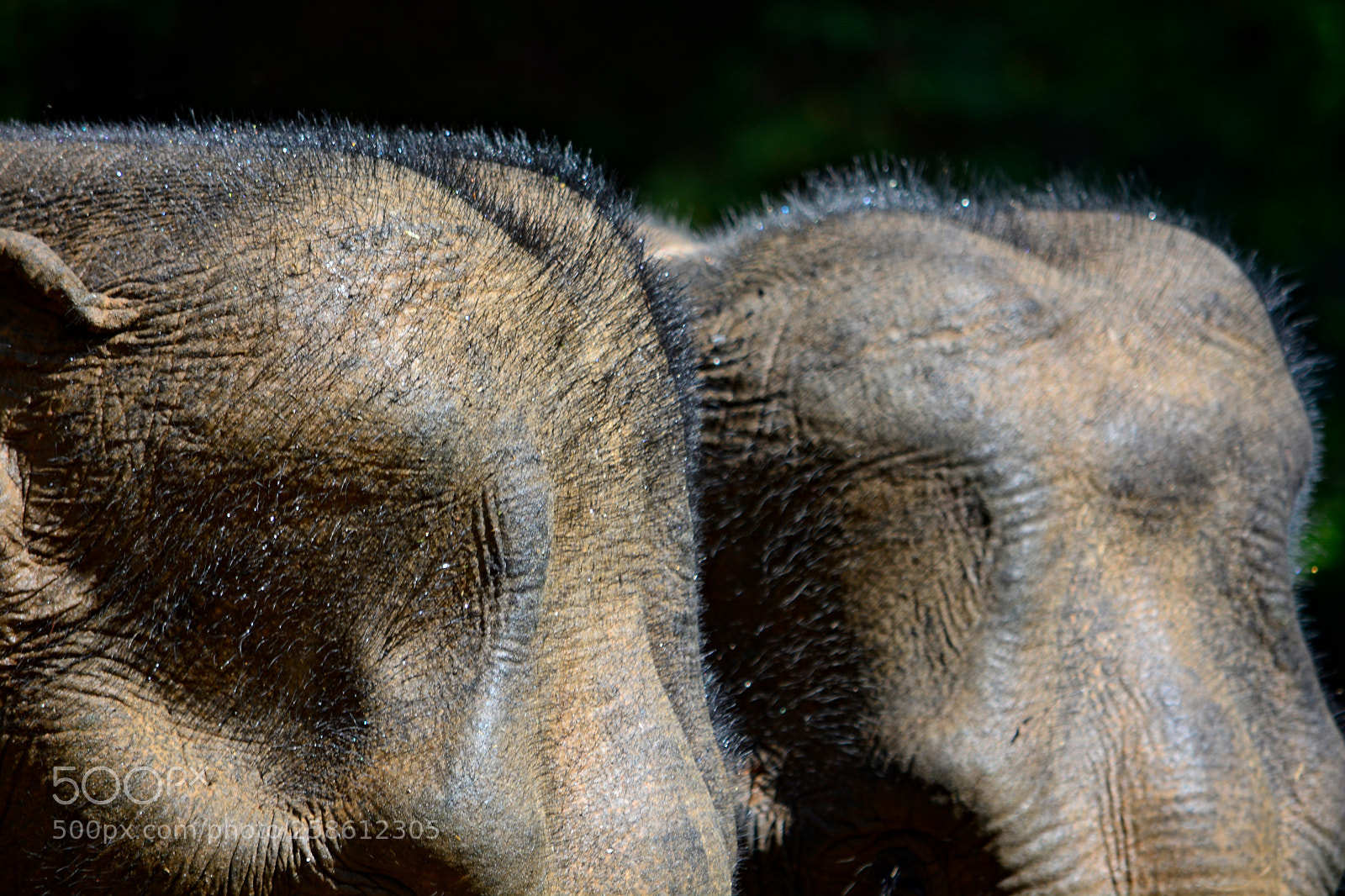 Nikon D5200 sample photo. Two old ladies photography