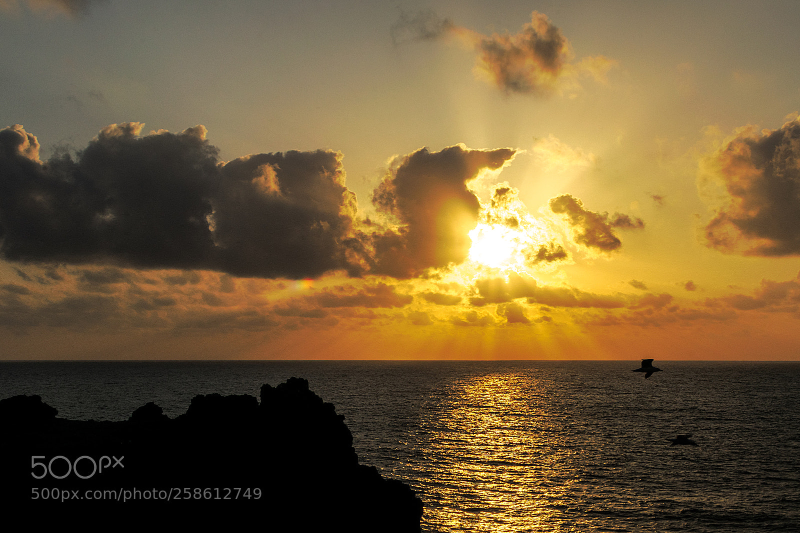 Nikon D3300 sample photo. Sunset photography