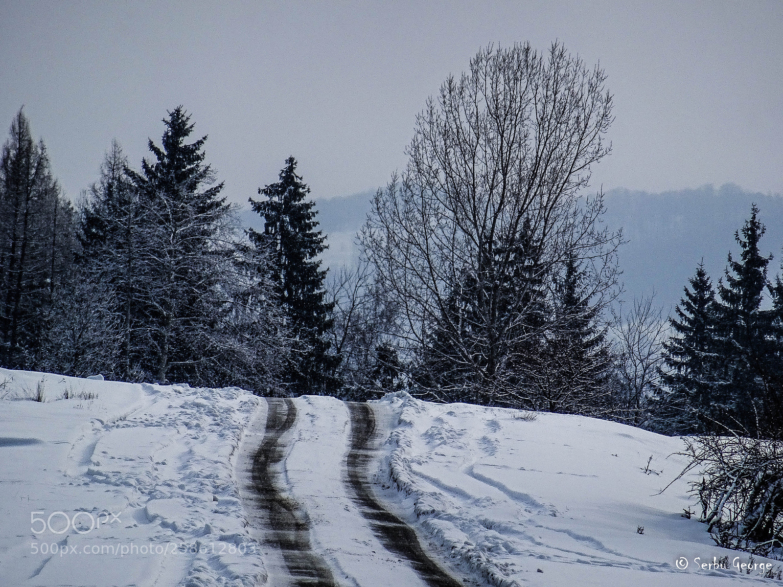 Sony DSC-HX60 sample photo. Winter photography