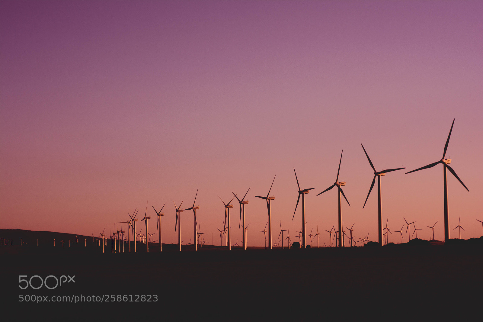 Nikon D7100 sample photo. Dancing windmills photography