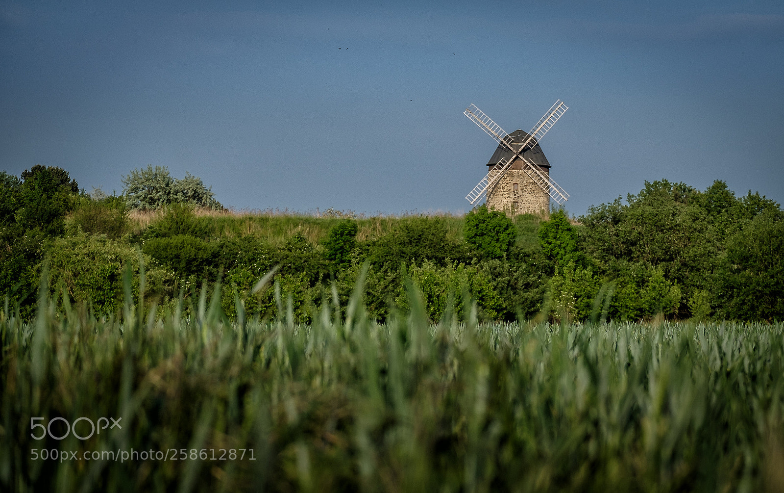 Fujifilm X-T2 sample photo. Harz - windmühle photography