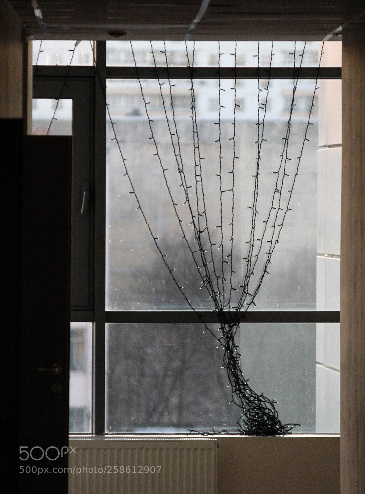 Canon EOS 1200D (EOS Rebel T5 / EOS Kiss X70 / EOS Hi) sample photo. Like tree photography