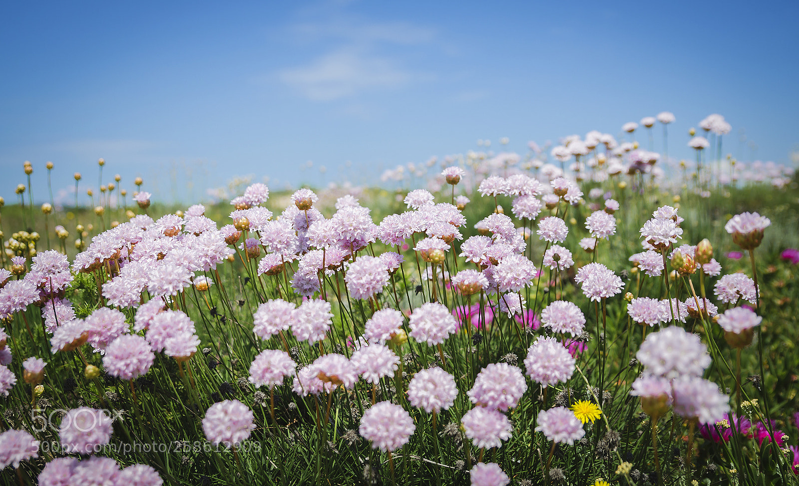 Nikon D7000 sample photo. Sardinia photography