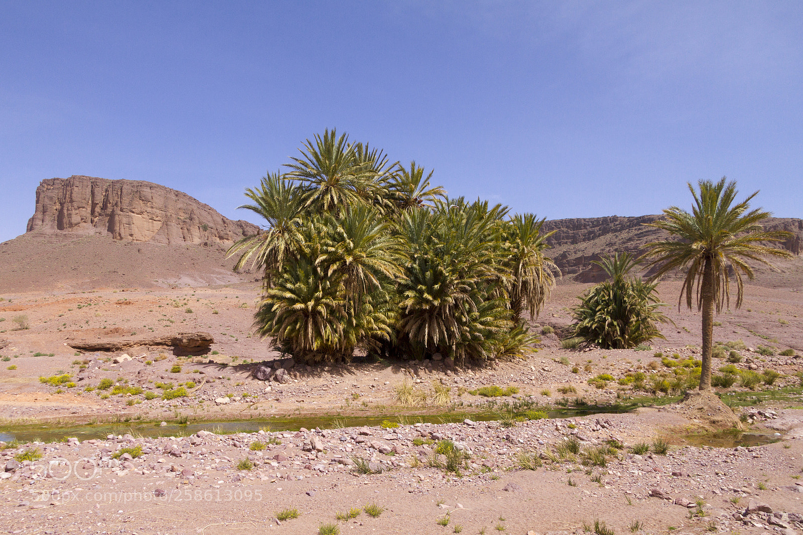 Canon EOS 7D sample photo. 2018-3991.jpg photography