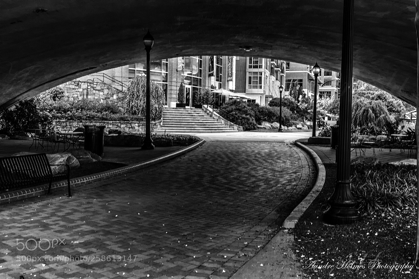 Canon EOS 7D sample photo. Cool shade b&w photography