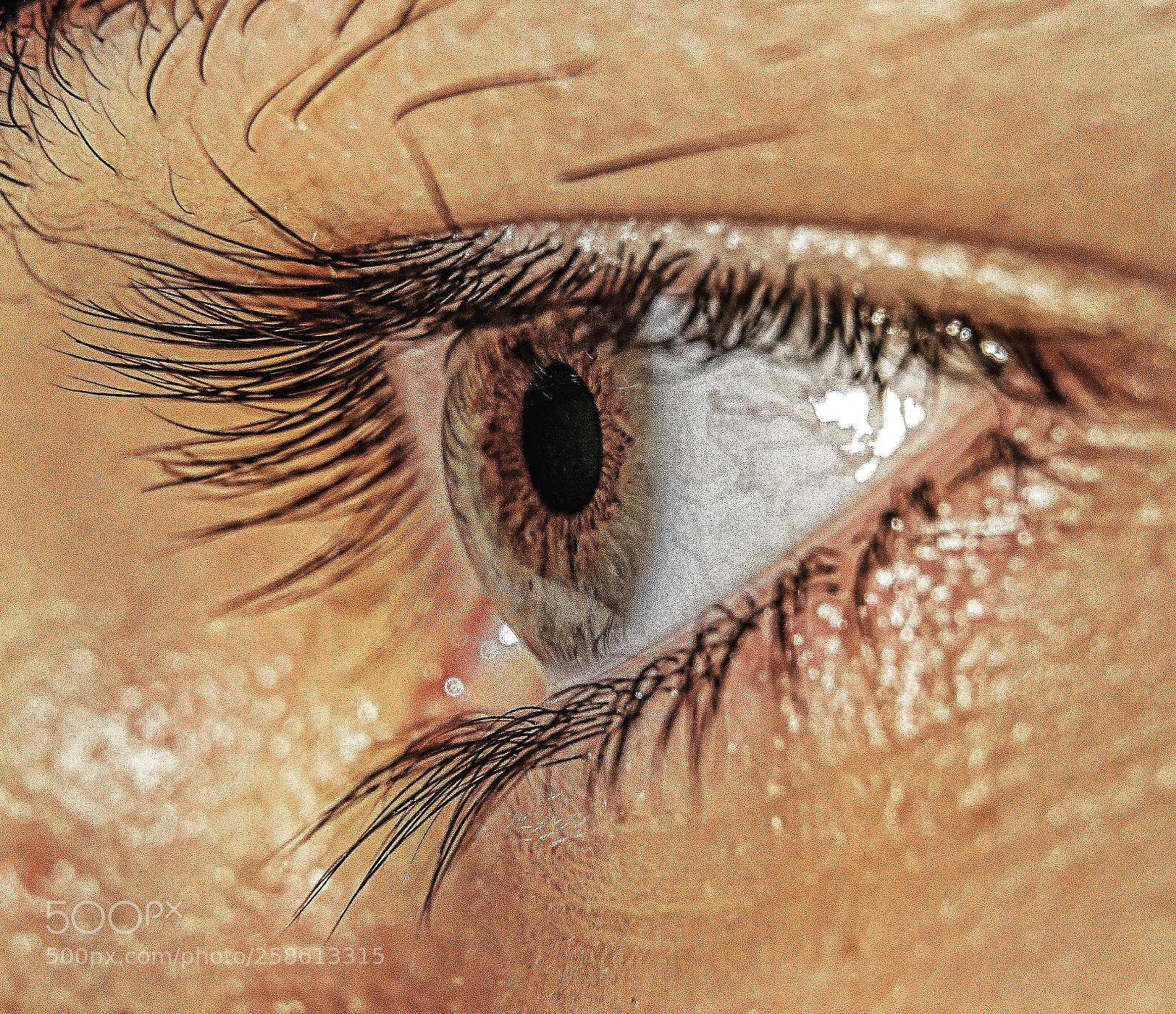 Nikon D7000 sample photo. Eye photography