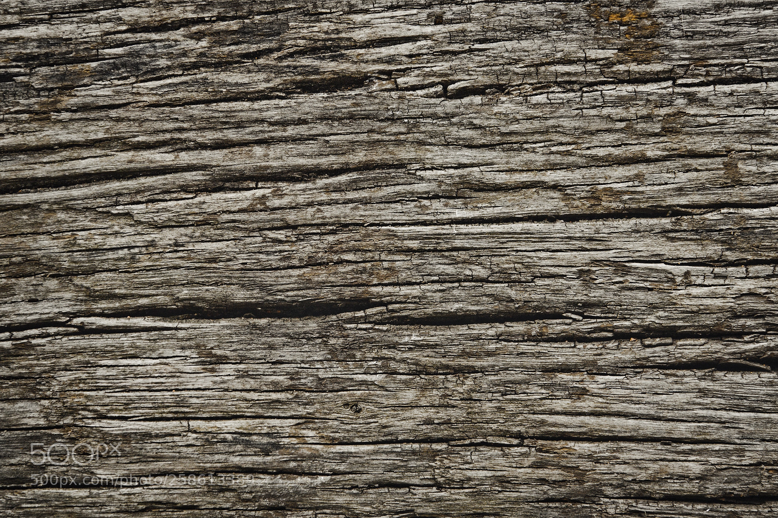 Sony Cyber-shot DSC-RX10 III sample photo. Rough dark wood texture photography