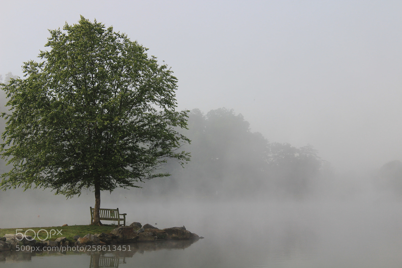 Canon EOS 1200D (EOS Rebel T5 / EOS Kiss X70 / EOS Hi) sample photo. Solitude photography