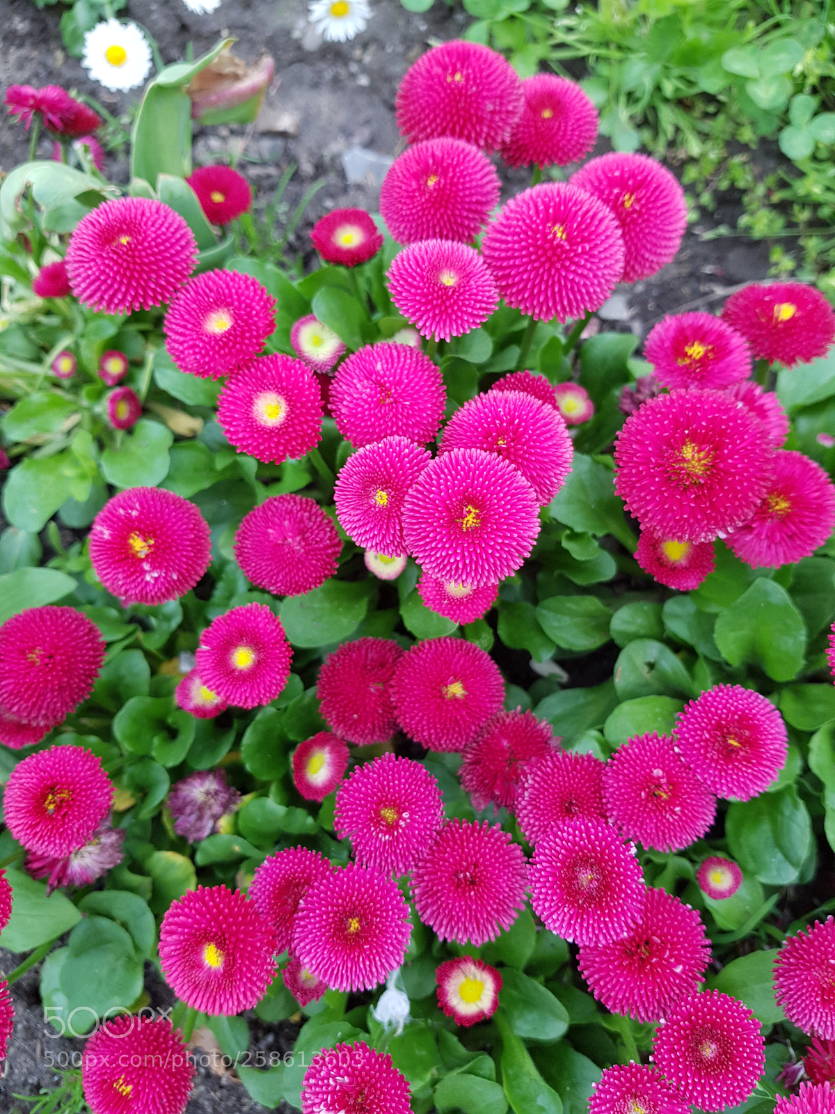 Samsung Galaxy S8 sample photo. Untitled photography