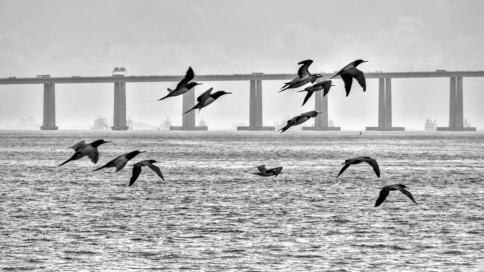 Nikon D3400 sample photo. Ba a de guanabara photography