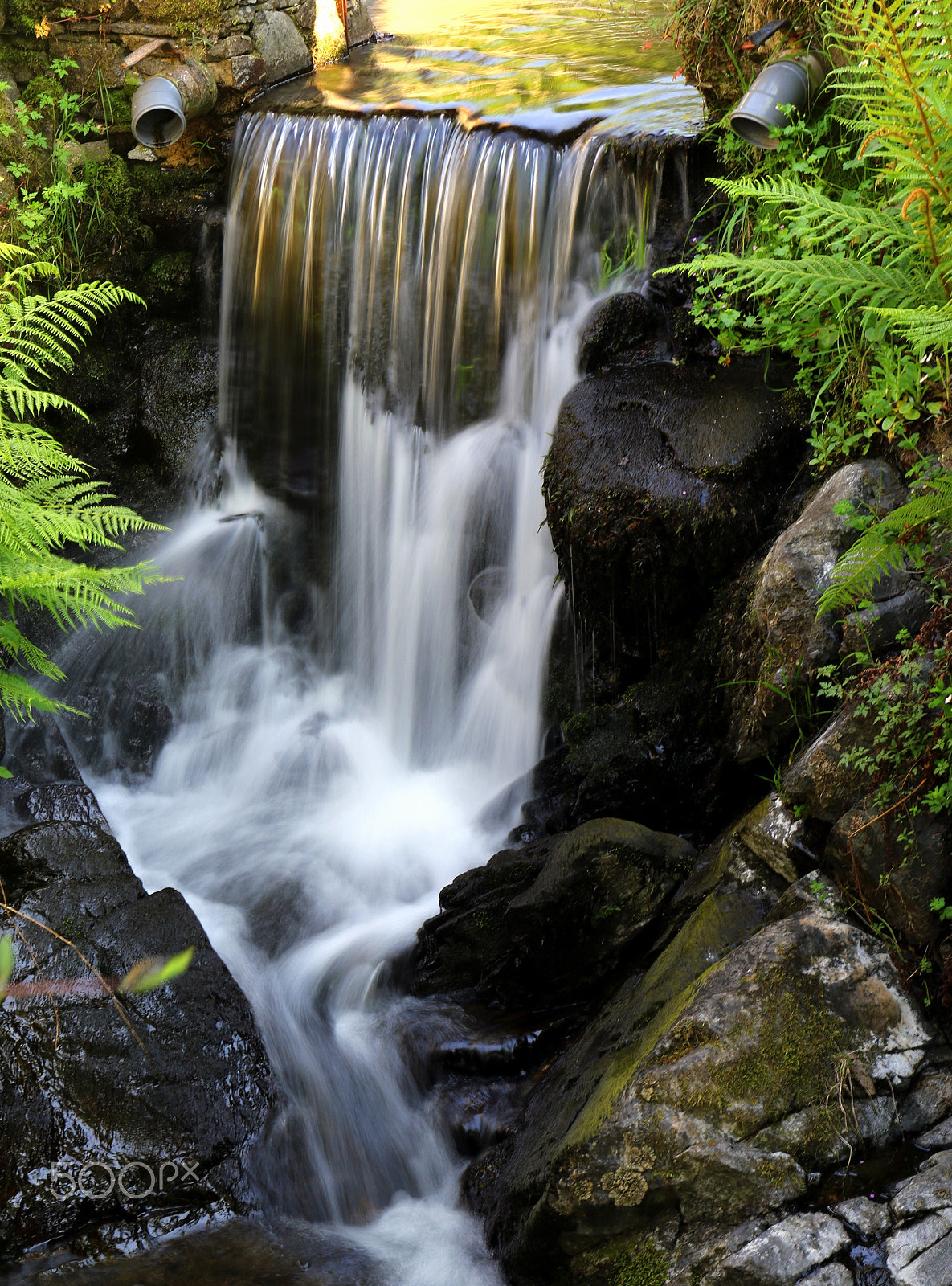Canon EF 24-70mm F4L IS USM sample photo. Waters photography