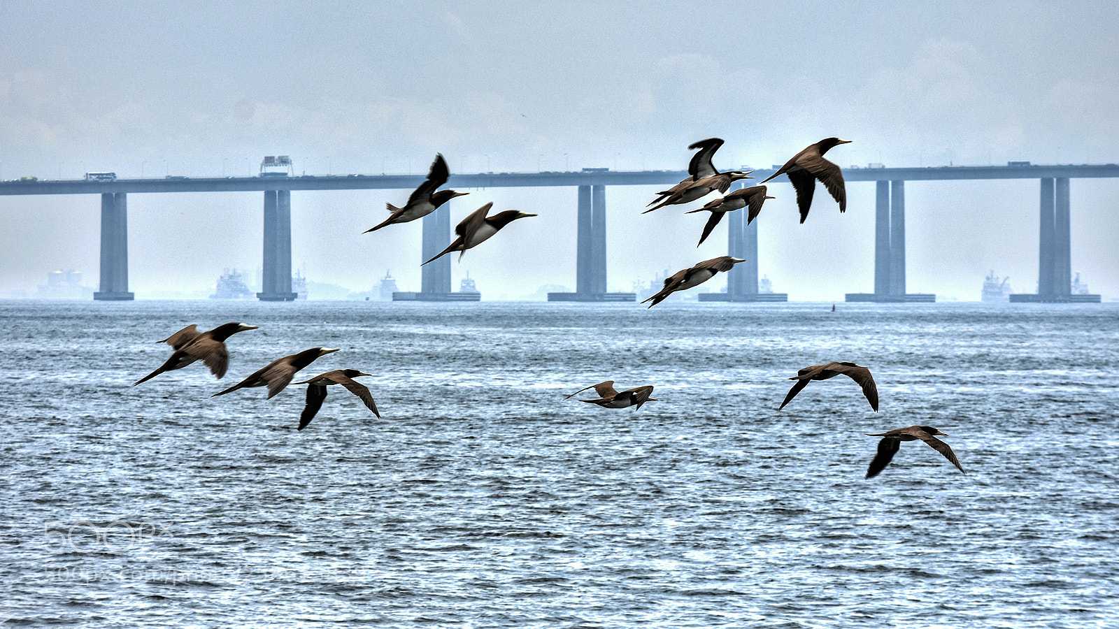 Nikon D3400 sample photo. Ba a de guanabara photography