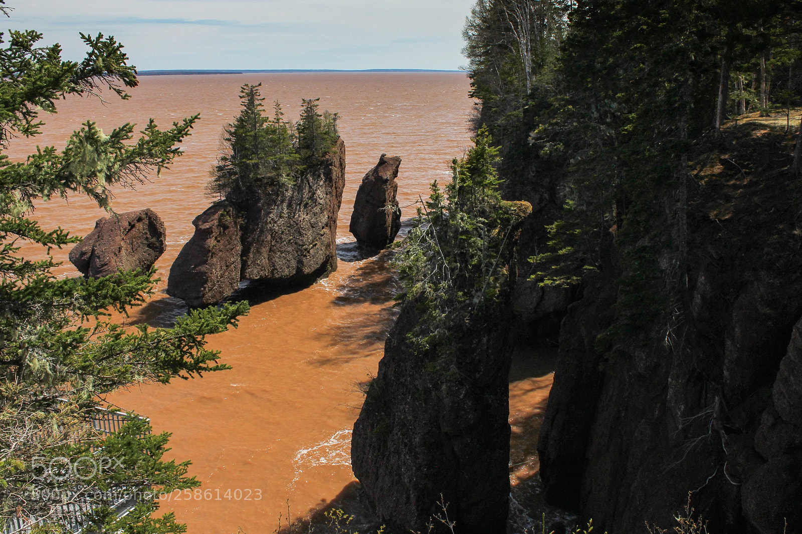 Canon EOS 60D sample photo. Les rochers hopewell rocks photography