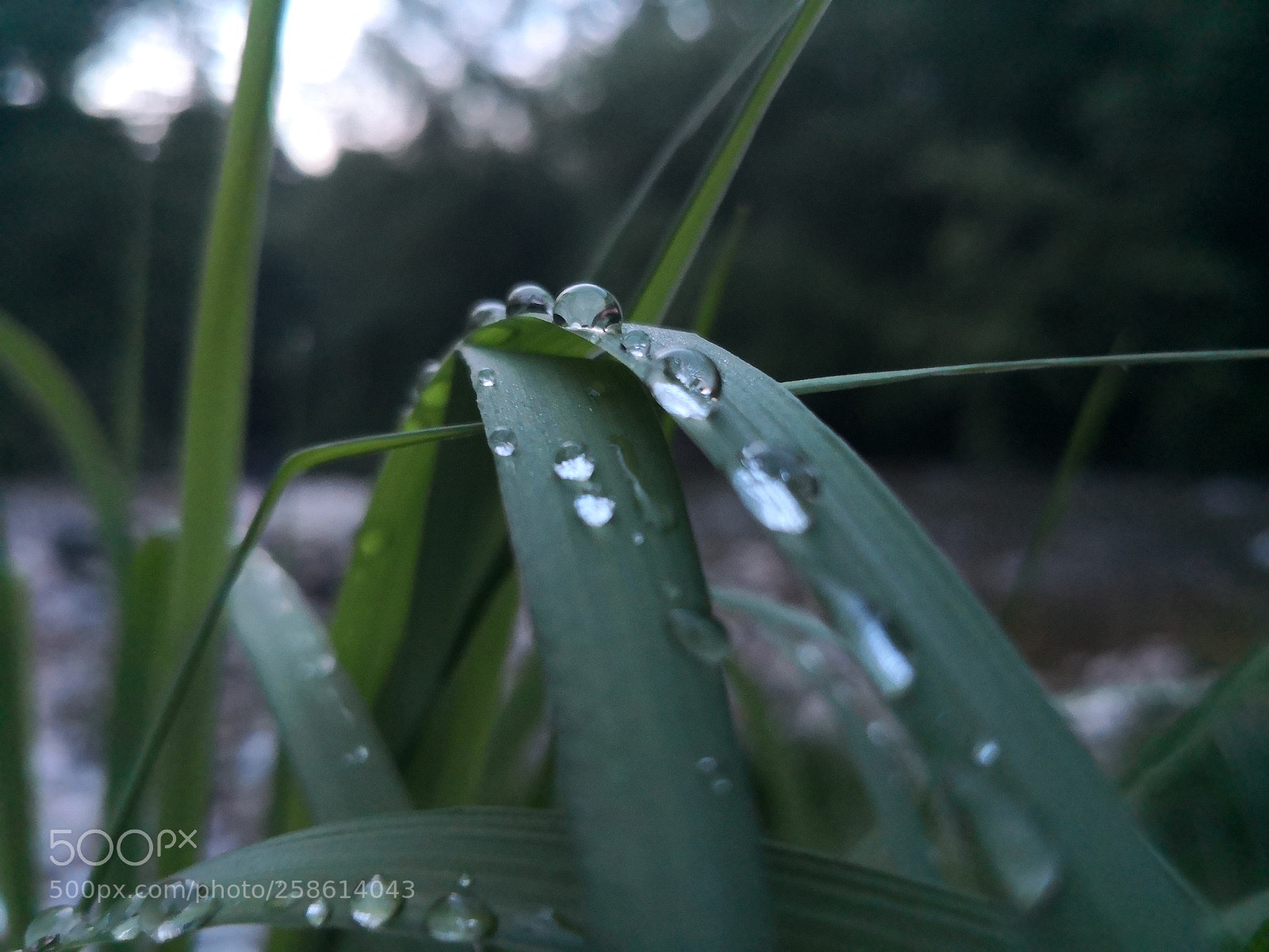 HUAWEI Mate 10 Pro sample photo. Untitled photography