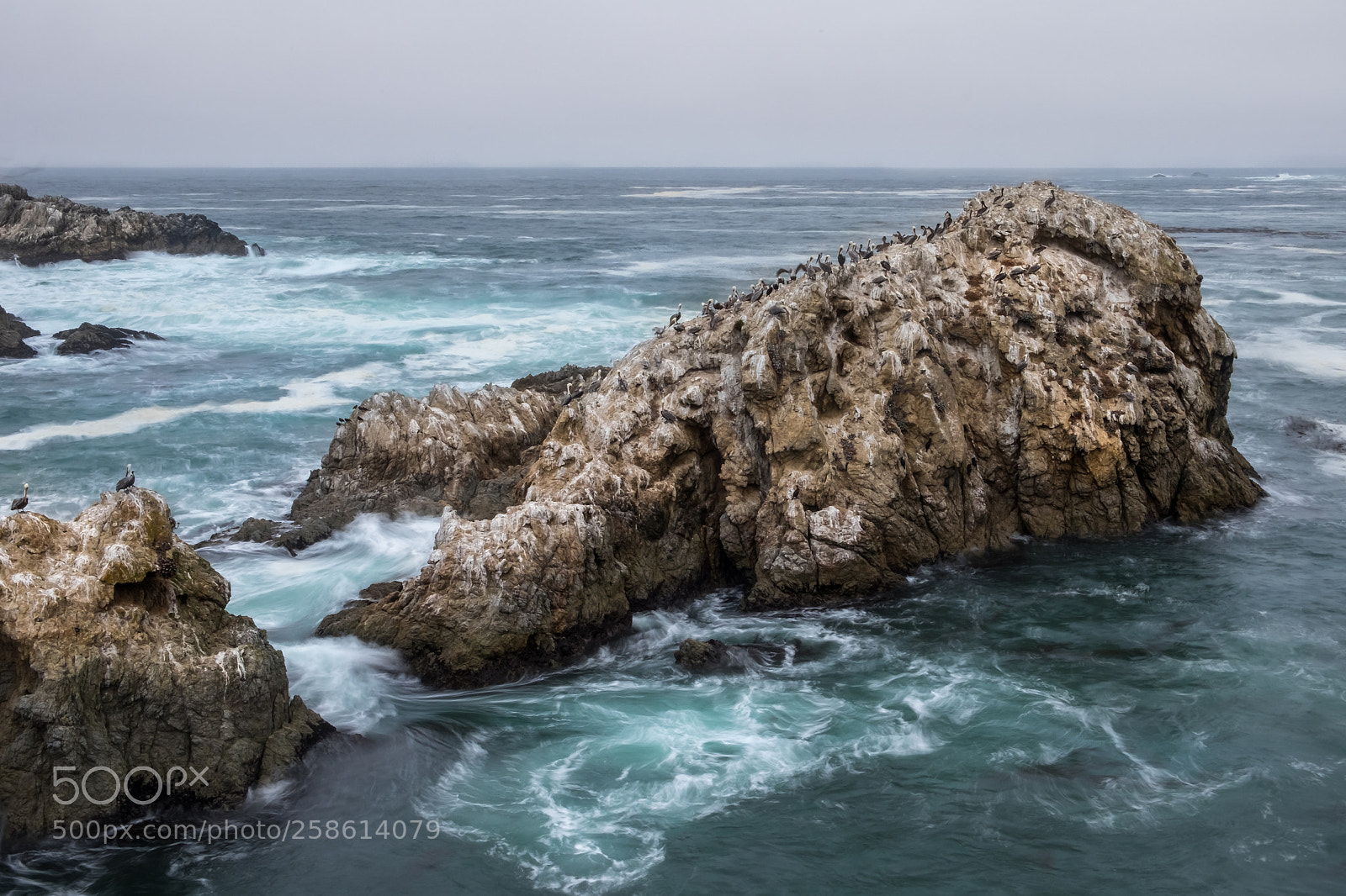 Fujifilm X-T1 sample photo. Point lobos state reserve photography