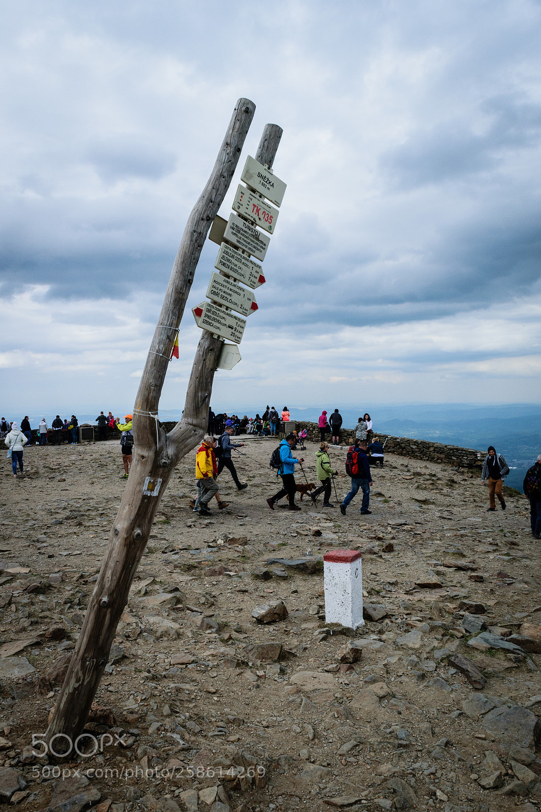 Nikon D5300 sample photo. Signpost photography