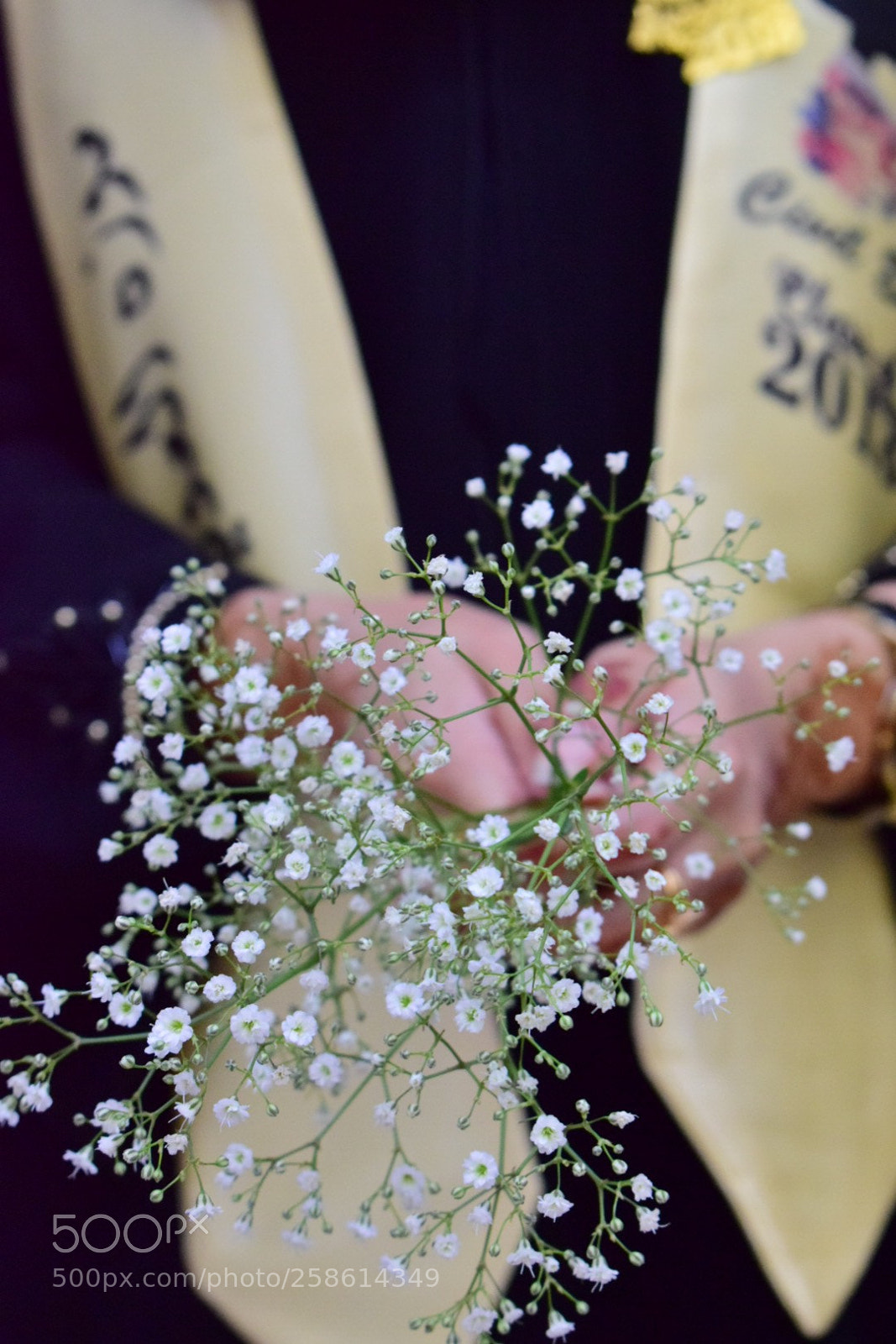 Nikon D5300 sample photo. 2018 graduation ?‍? photography