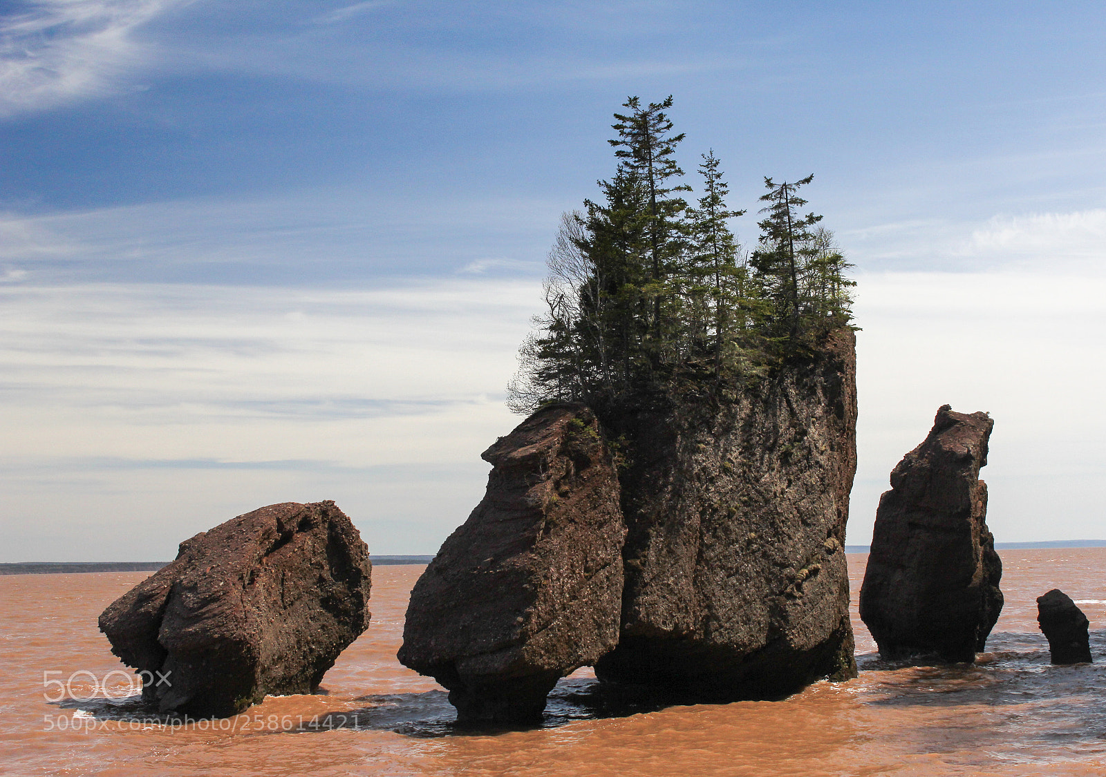 Canon EOS 60D sample photo. Merveilleux - marvelous photography