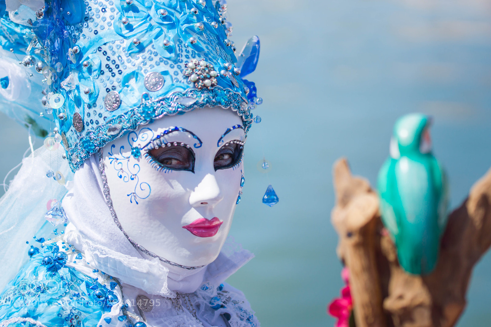 Sony SLT-A77 sample photo. Mascarade photography
