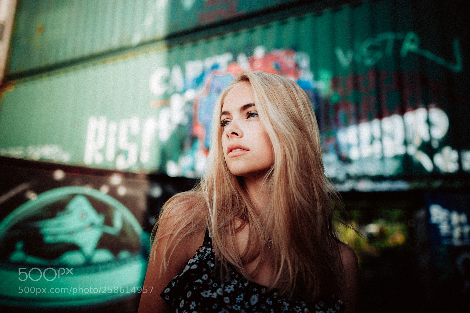 Canon EOS 5D Mark II sample photo. Missing photography