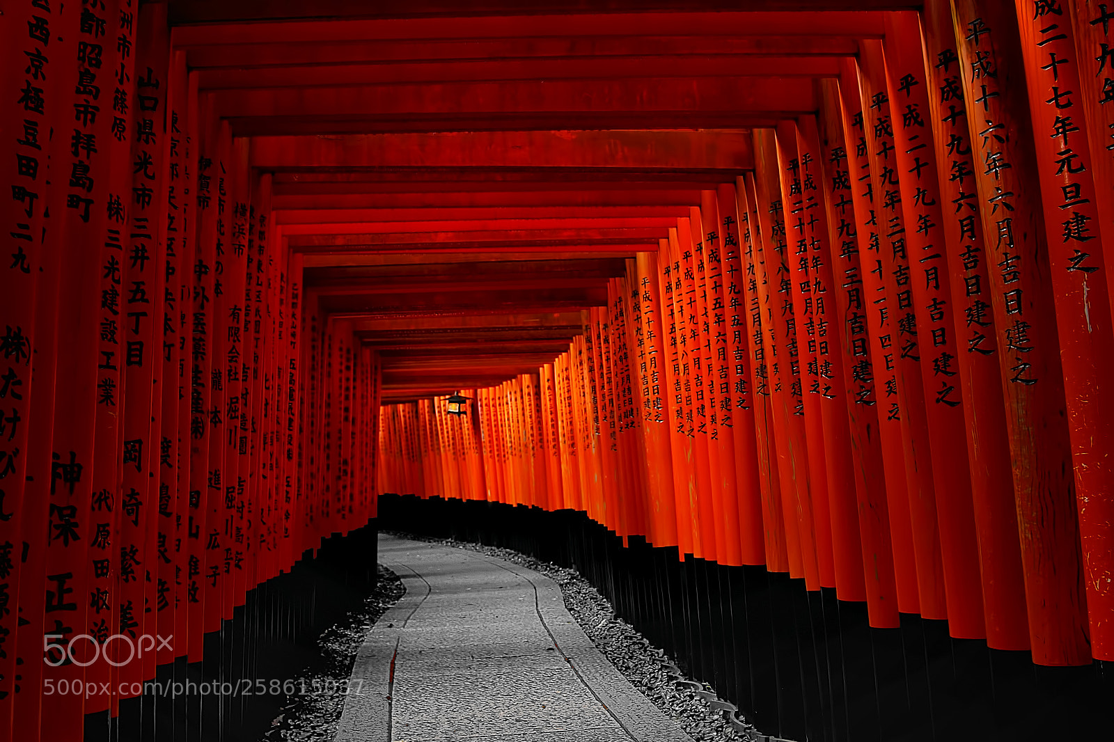 Canon EOS 7D sample photo. The path # photography