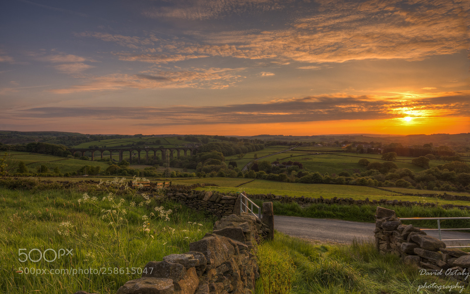 Nikon D7200 sample photo. A yorkshire sunset photography