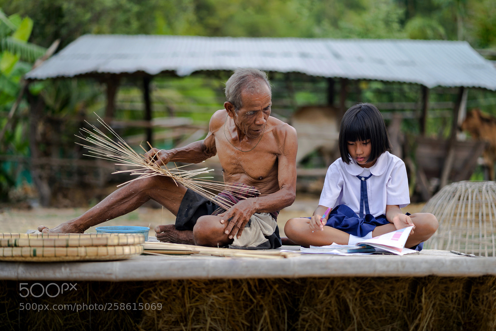Sony a7 III sample photo. Elderly man with student photography