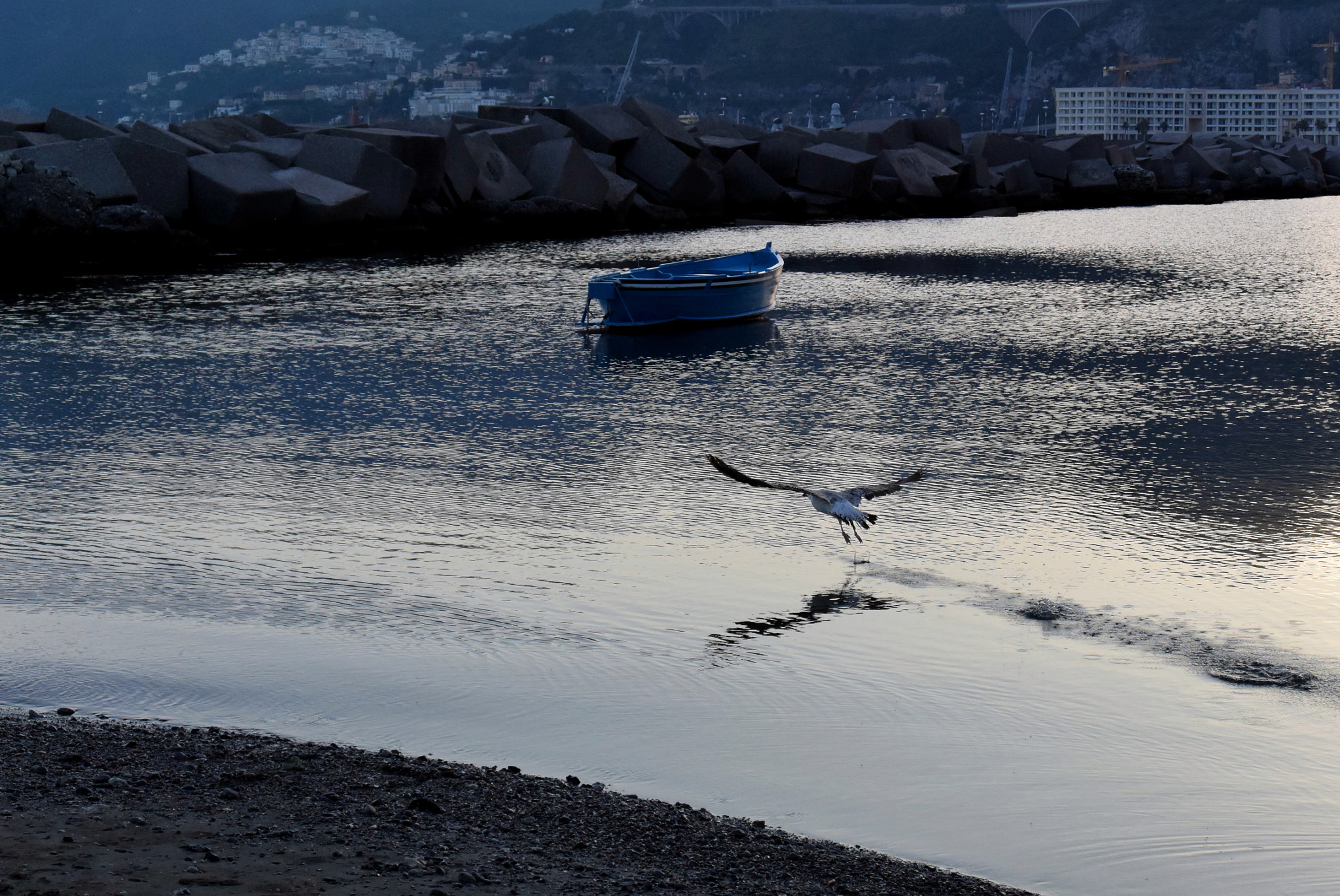 Nikon 1 S2 sample photo. Salerno photography