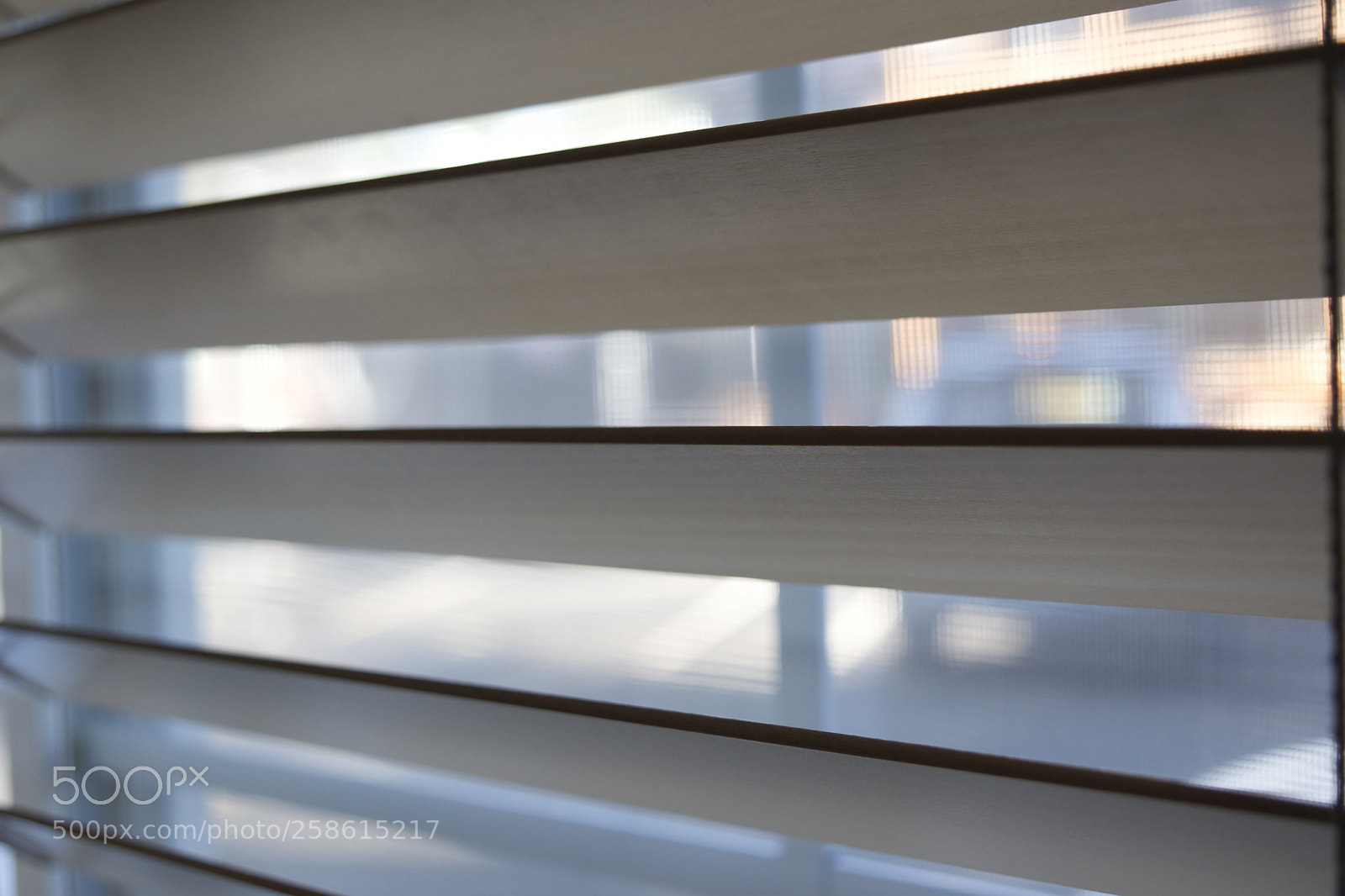 Nikon D5500 sample photo. Looking out the window photography