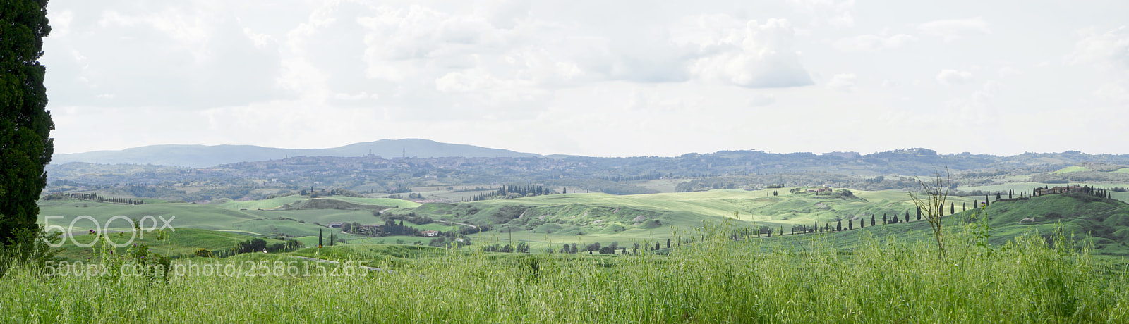 Sony a7R II sample photo. Skyline photography