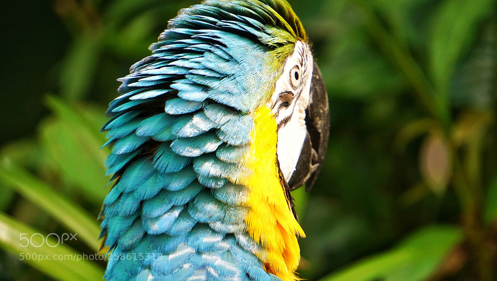 Sony a6000 sample photo. Wonder of nature photography