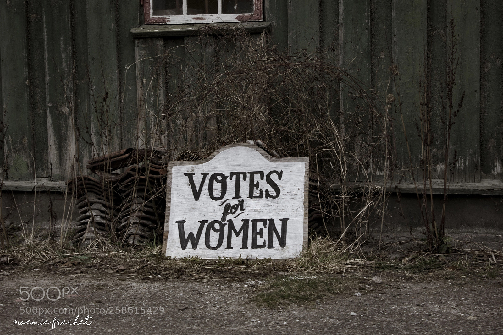 Canon EOS 550D (EOS Rebel T2i / EOS Kiss X4) sample photo. Suffragettes photography