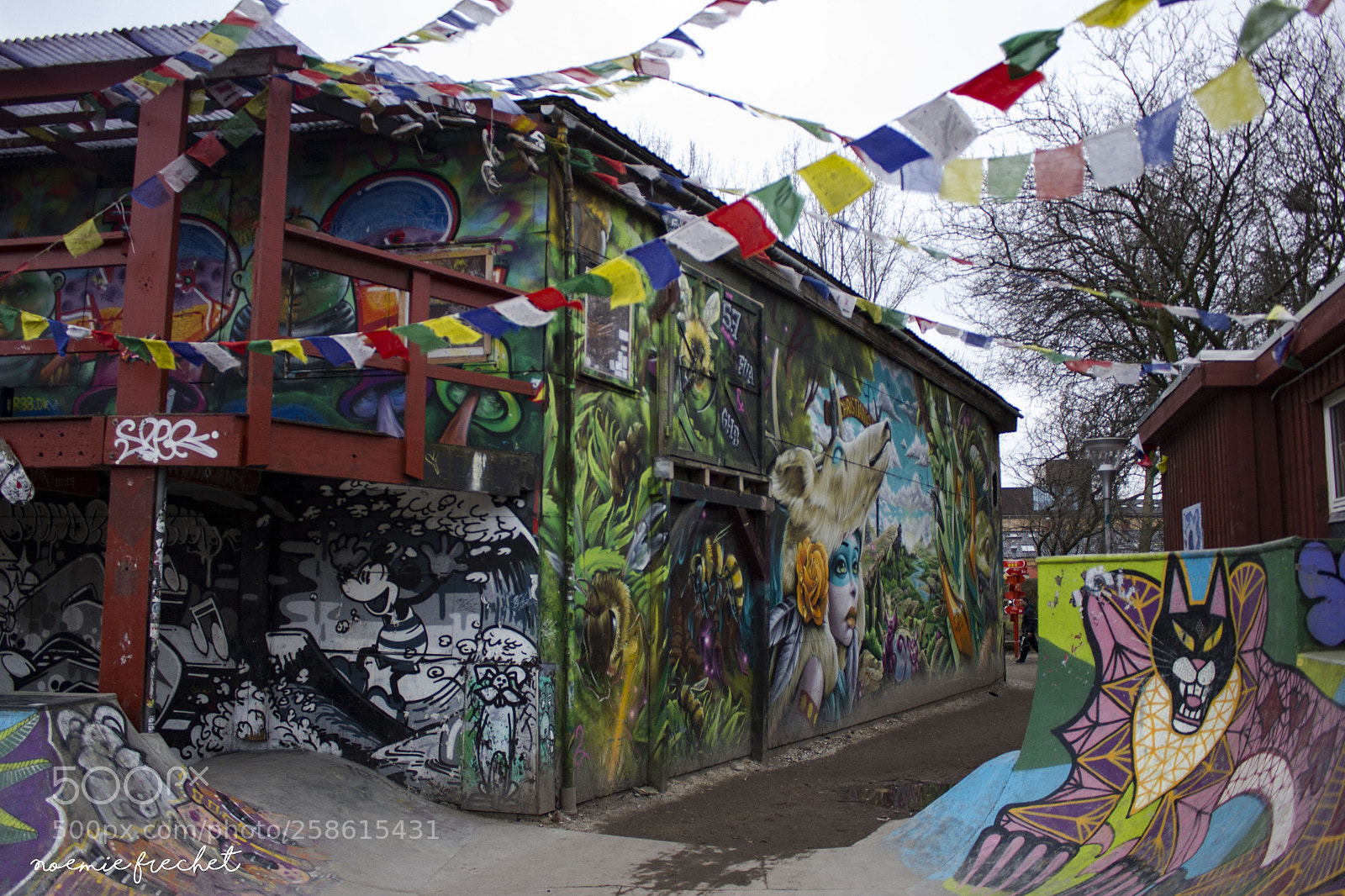 Canon EOS 550D (EOS Rebel T2i / EOS Kiss X4) sample photo. Little nepal for danes photography