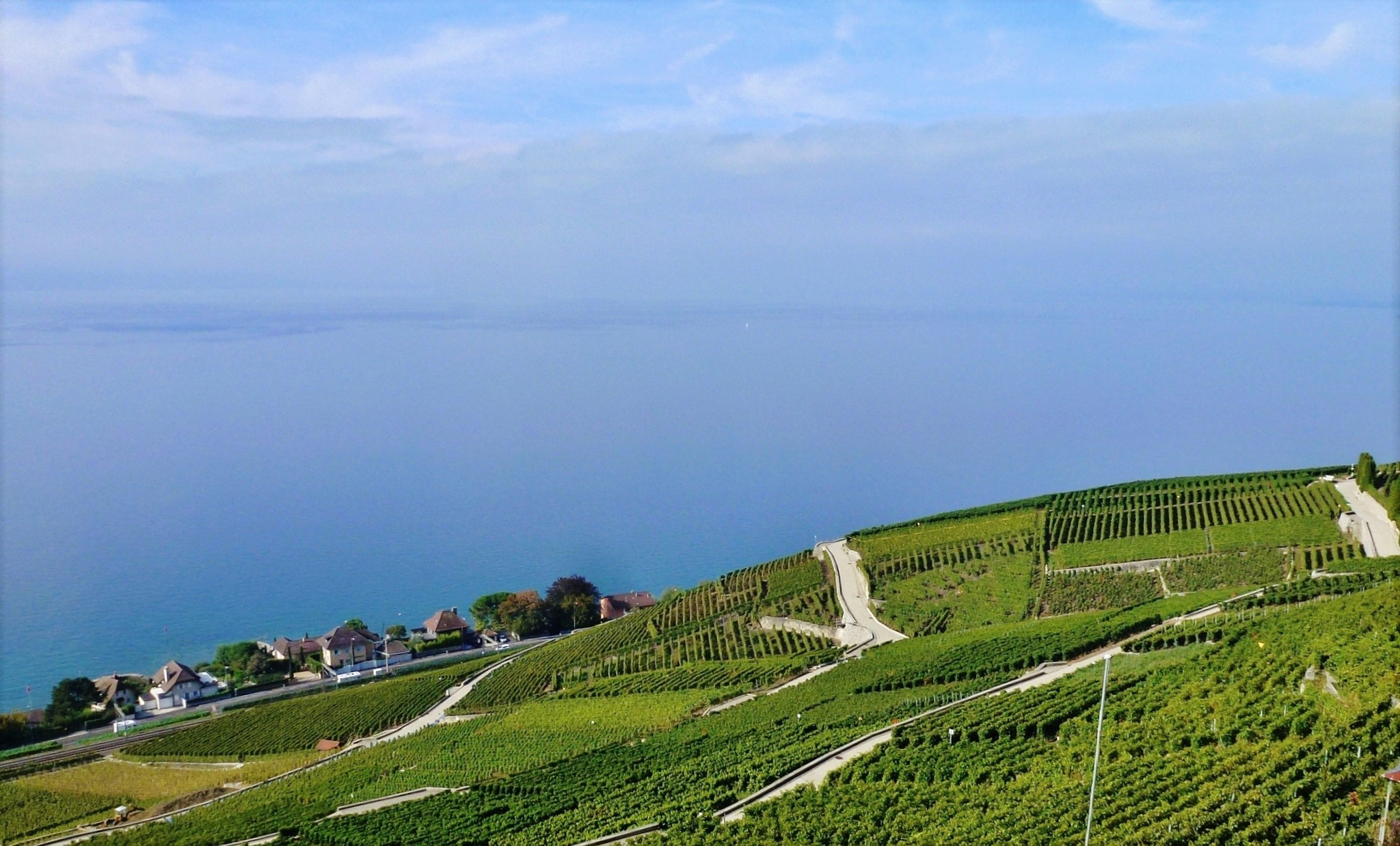 Panasonic DMC-ZS10 sample photo. Lavaux photography