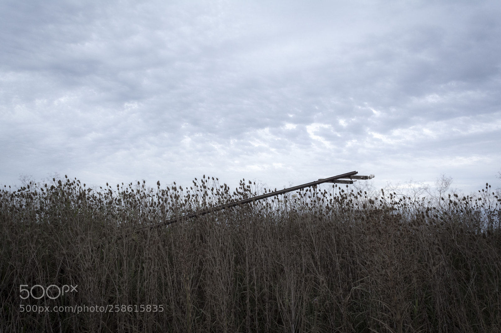 Nikon D5200 sample photo. Pueblos rurales luz photography