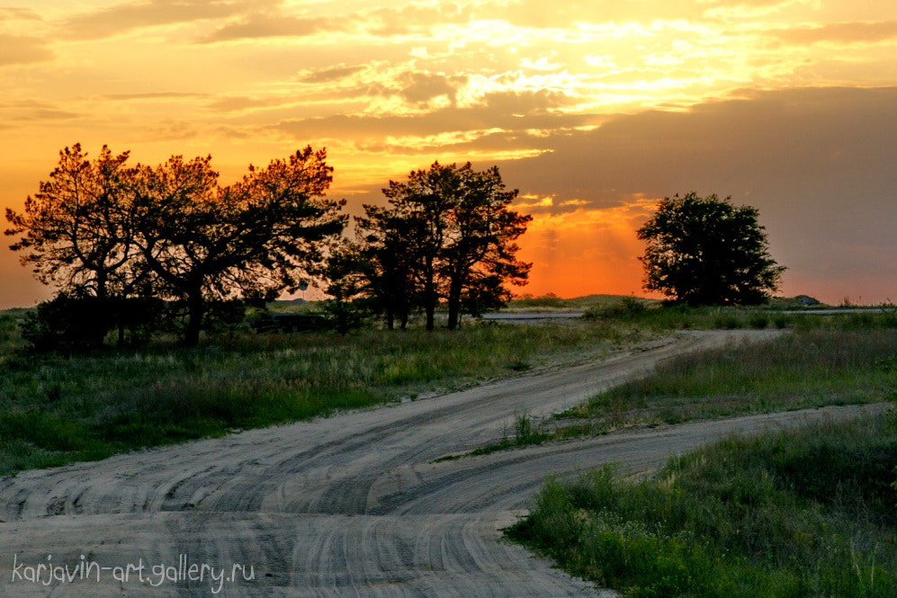 Sony Alpha DSLR-A700 sample photo. Sands of archeda photography