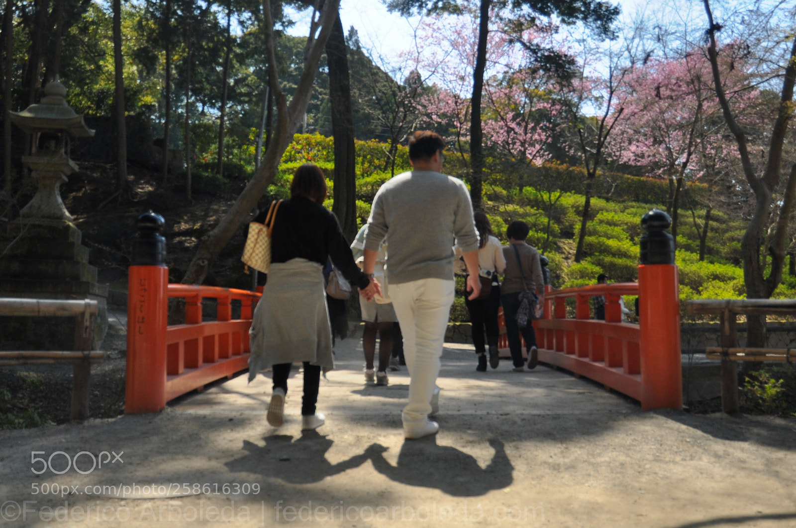 Nikon D90 sample photo. Bridge to nature photography