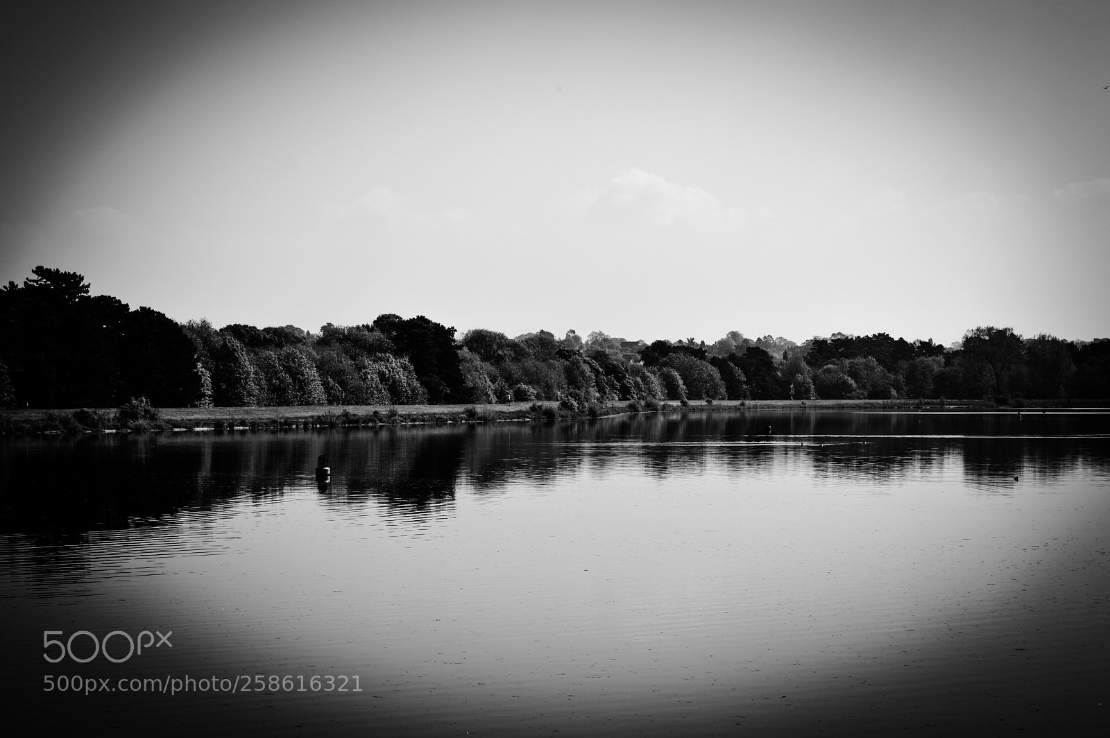Nikon D3200 sample photo. Shustock photography