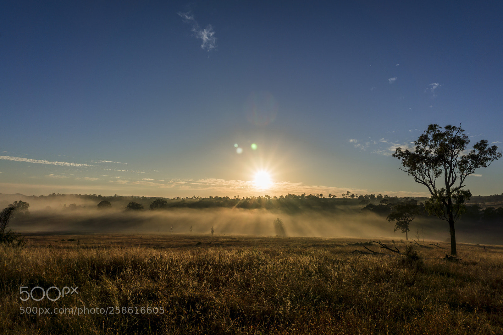 Sony a6000 sample photo. Sunrise photography
