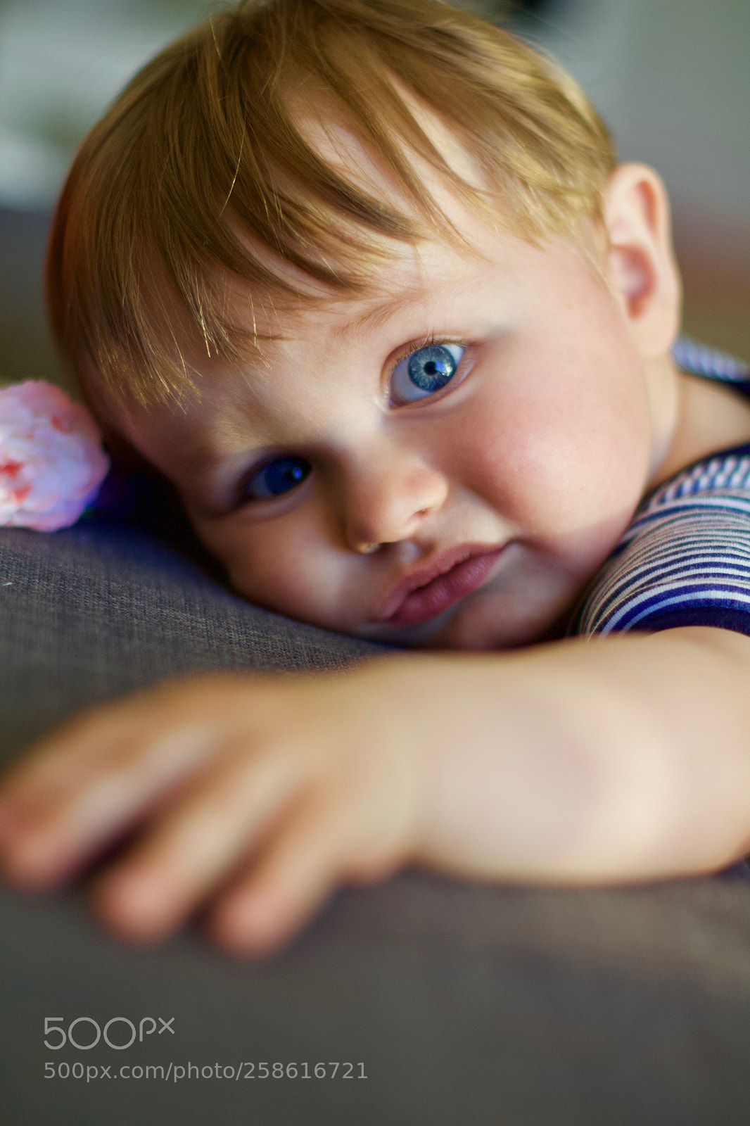 Canon EOS 650D (EOS Rebel T4i / EOS Kiss X6i) sample photo. Baby boy photography