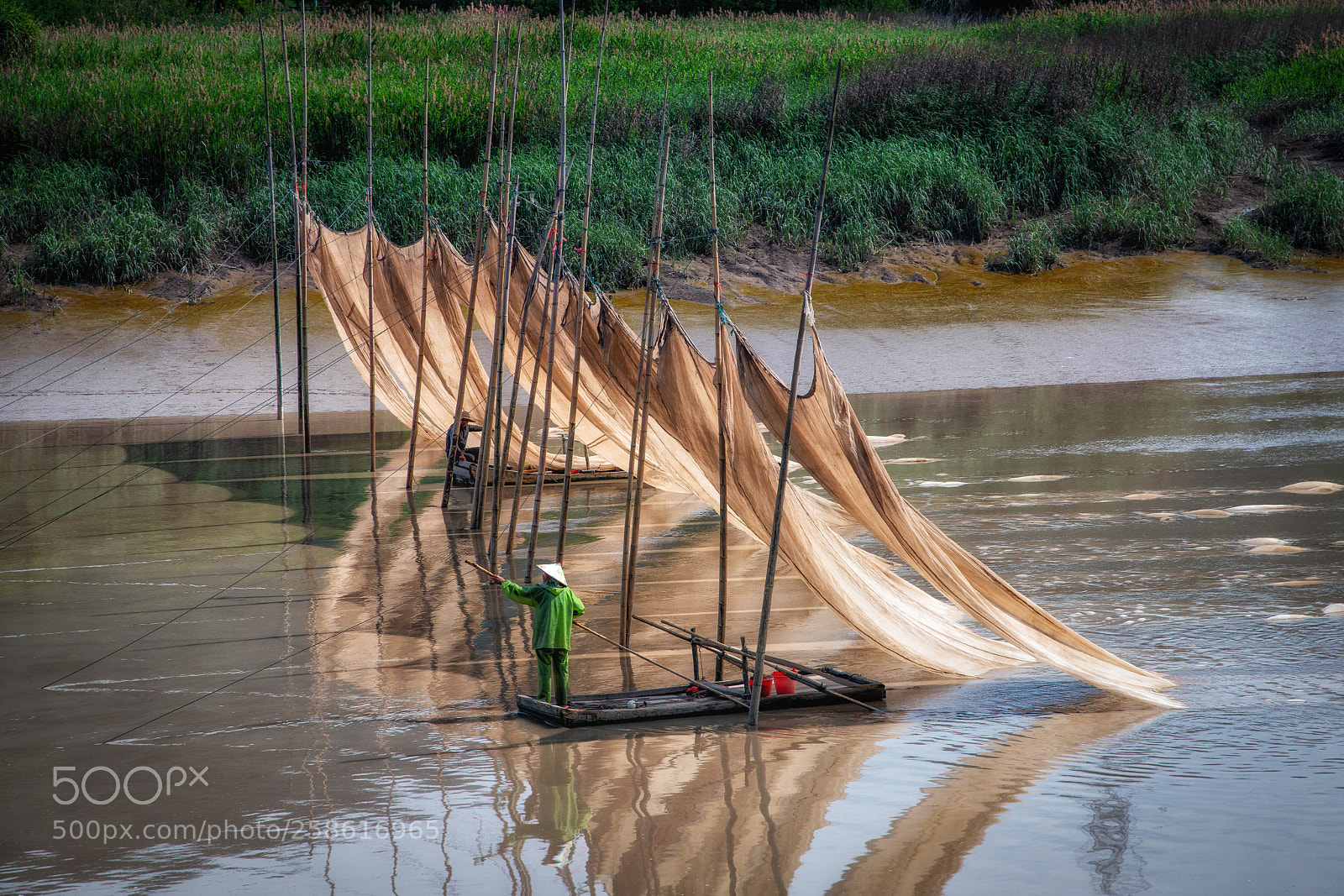 Nikon D850 sample photo. Hanging the nets to photography