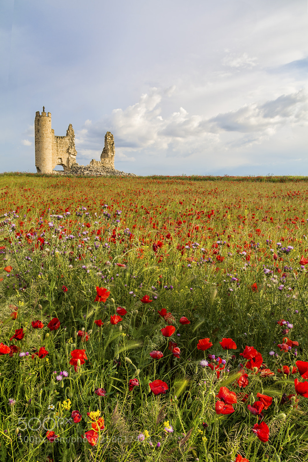 Nikon D5200 sample photo. Caudilla castle photography