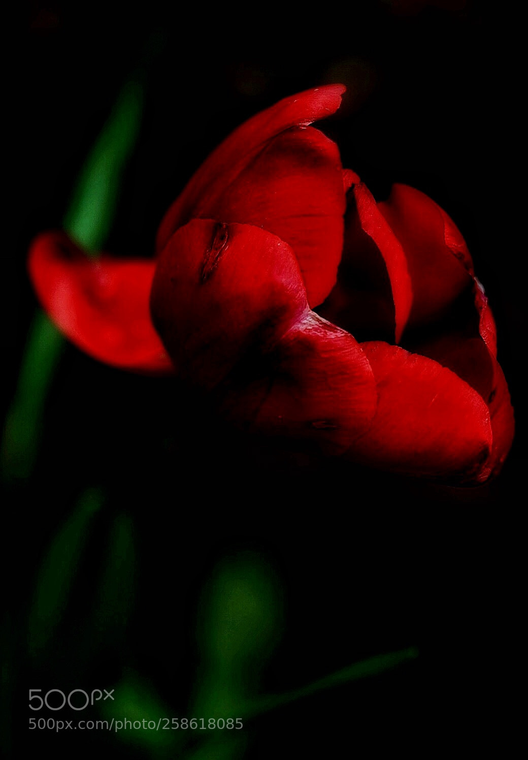 Sony a7 II sample photo. Funnel of love photography