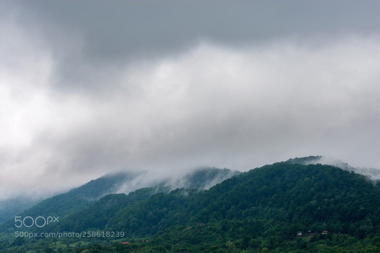 Nikon D3400 sample photo. Tom_0421-1.jpg photography