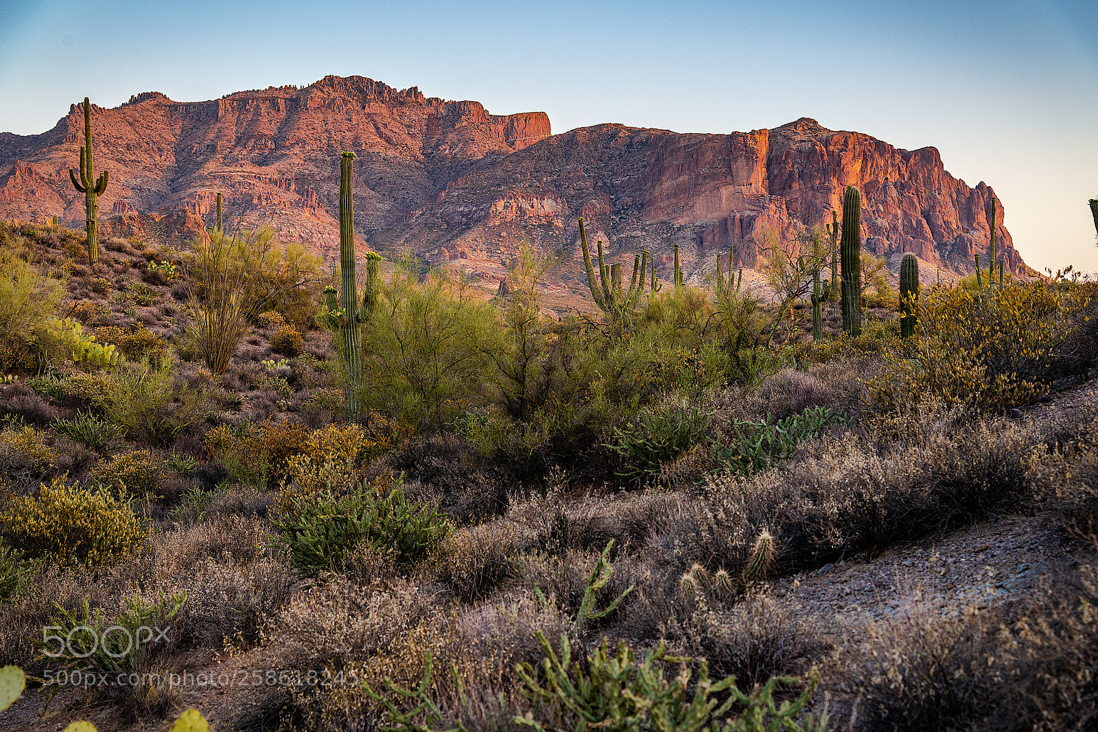 Nikon D850 sample photo. Sunset at the superstitions photography