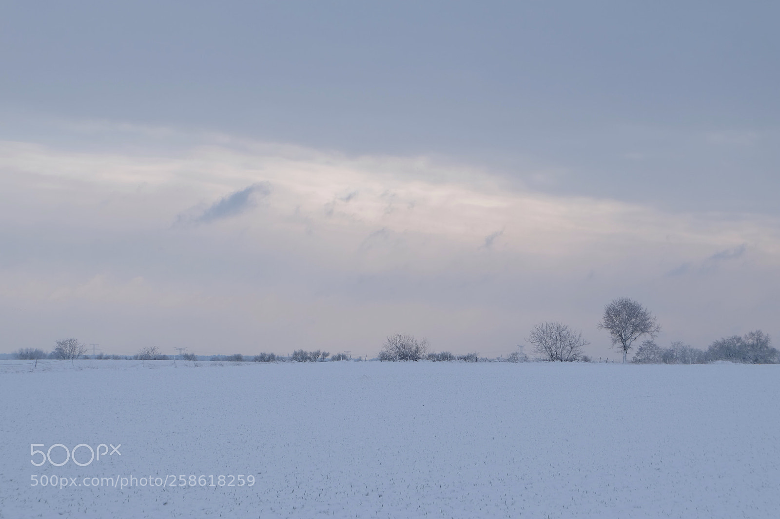 Fujifilm X-M1 sample photo. Snow  photography