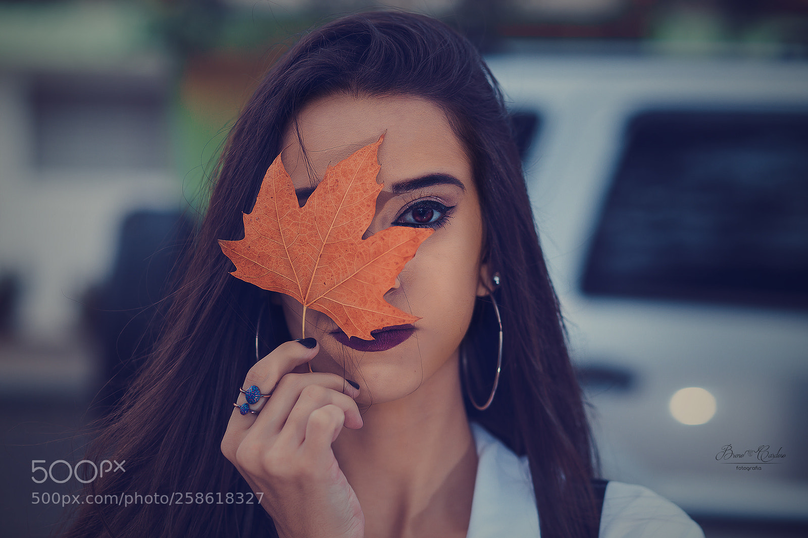 Canon EOS 6D sample photo. Leaf photography