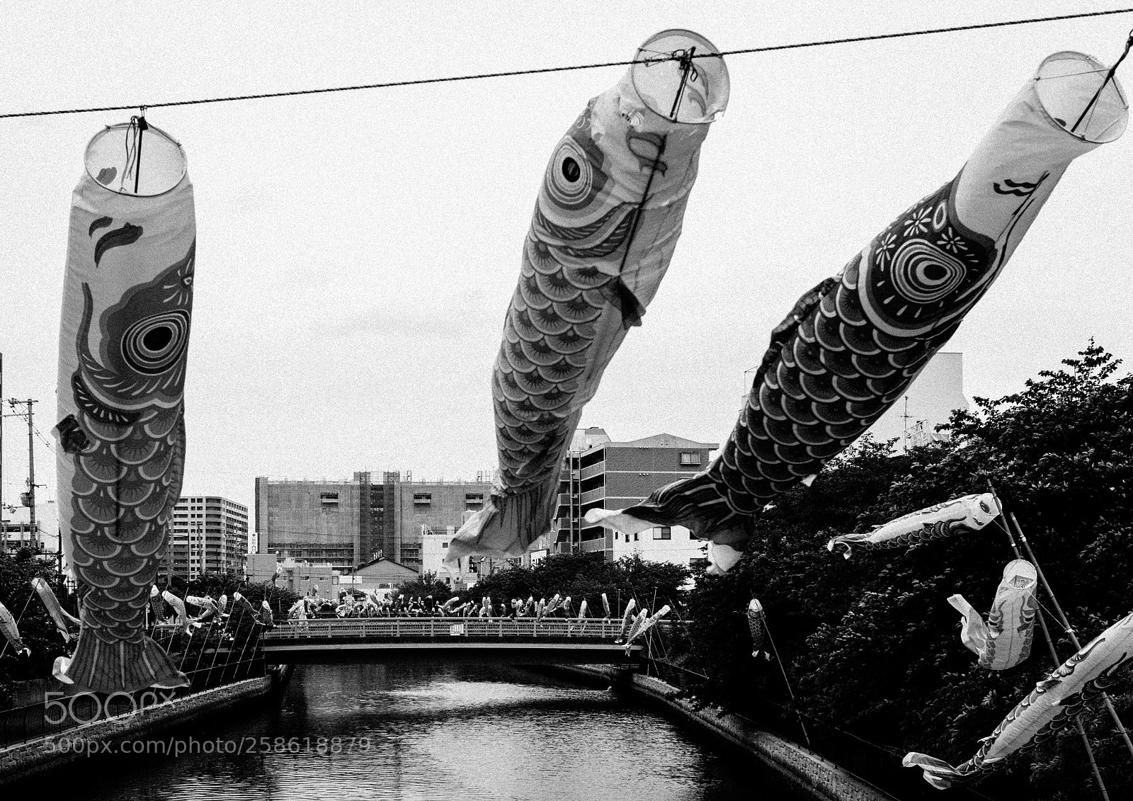 Canon EOS M3 sample photo. Carp streamer photography