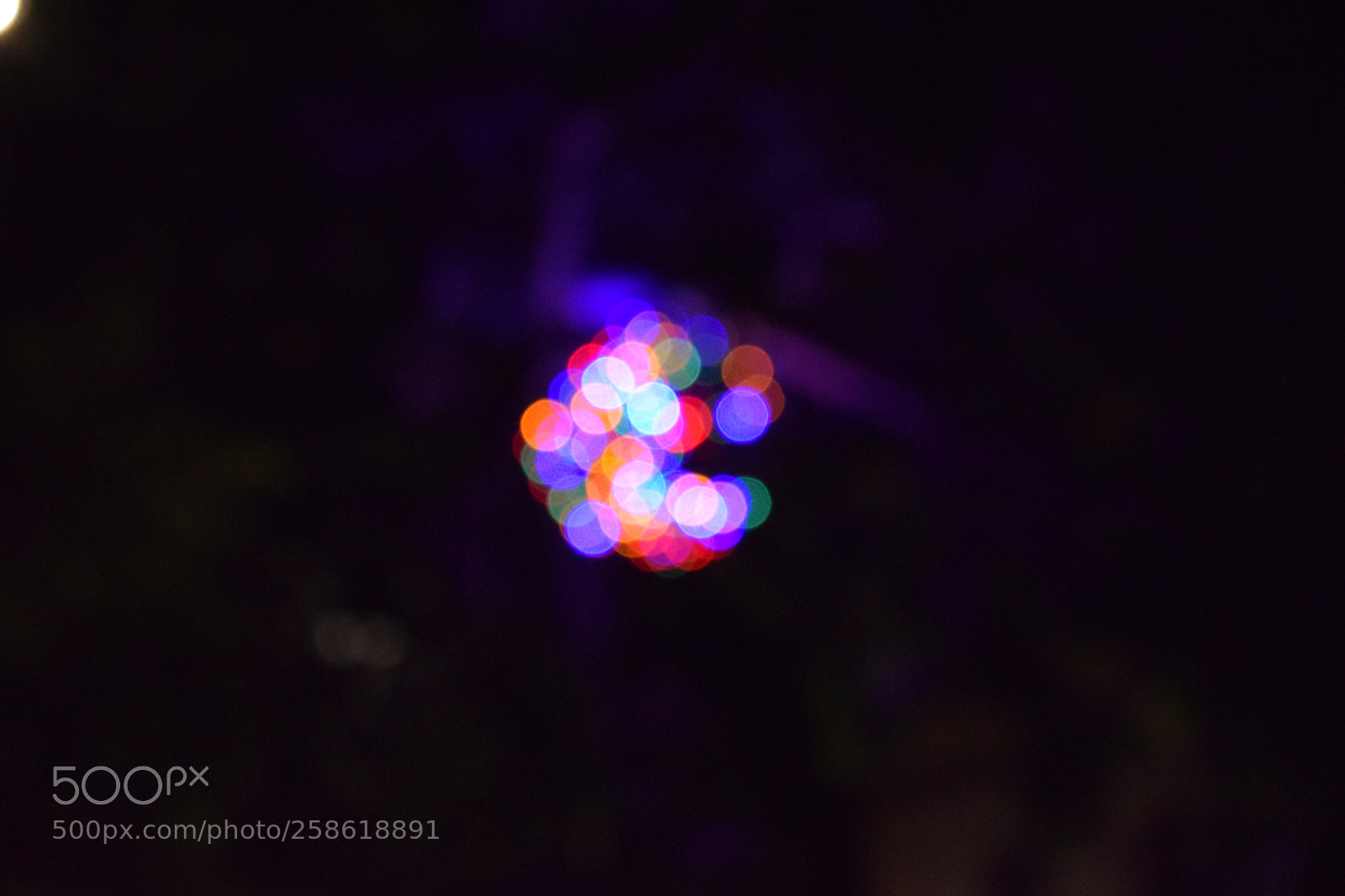 Nikon D5300 sample photo. Blur photography