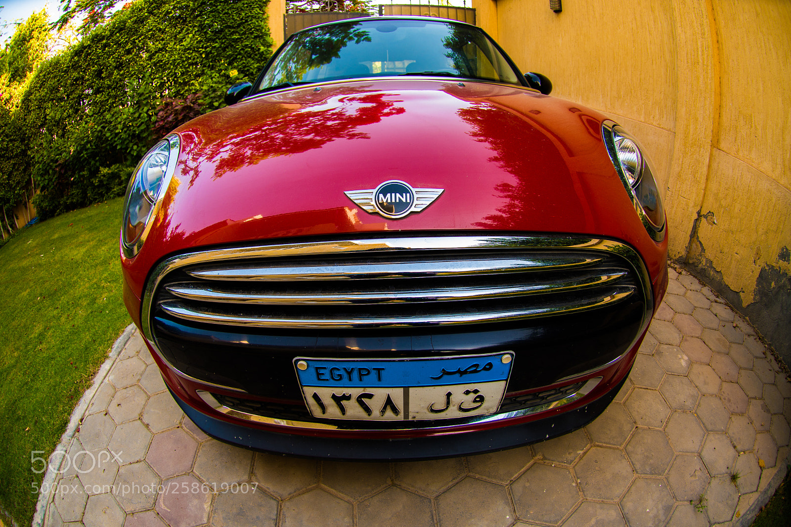 Nikon D500 sample photo. Untitled photography